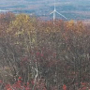 Meet your Posher, Lucille